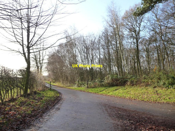 Photo 6"x4" Private road to Pilmoor Grange Fawdington c2014