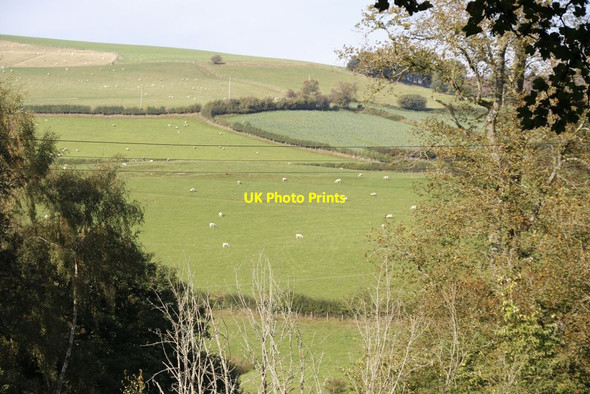 Photo 6"x4" Hillside above Glascwm Glascwm\/SO1553 c2014