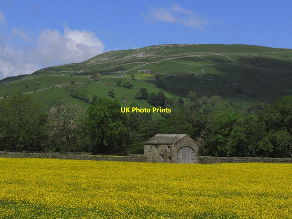 Photo 6"x4" Buttercup meadow & barn just E of Muker Muker c2014