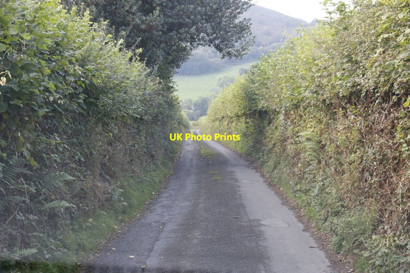 Photo 6"x4" Road near Pentwyn Cregrina c2014