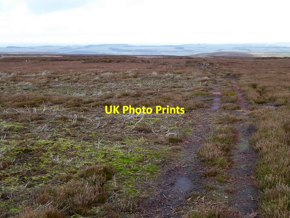 Photo 6"x4" Track on Harehope Hill Edmondbyers c2014