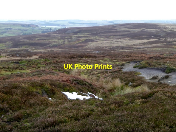 Photo 6"x4" Harehope Head Edmondbyers c2014
