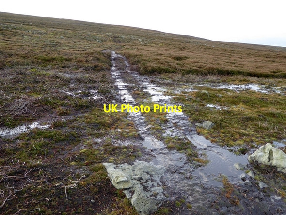 Photo 6"x4" Rough track on Harehope Head Edmondbyers c2014