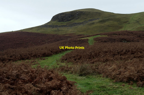 Photo 6"x4" Path below Llandegley Rocks Llandegley c2014