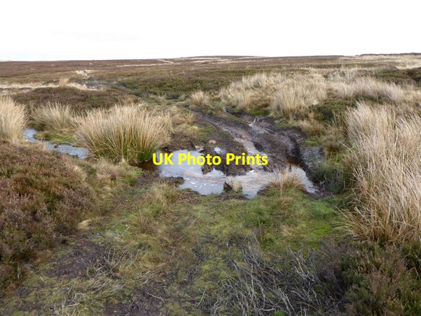 Photo 6"x4" Rough track at Harehope Head Edmondbyers c2014