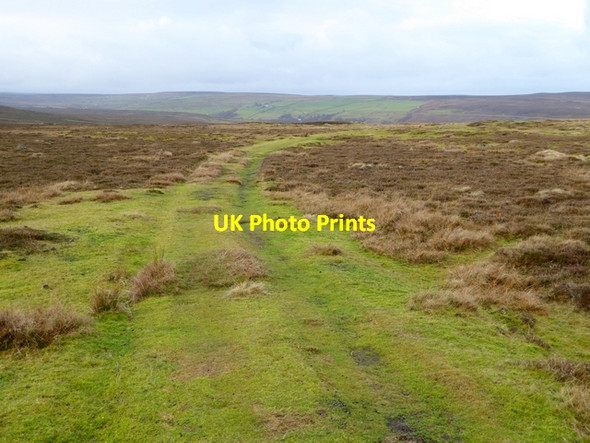 Photo 6"x4" Grassy track below Stoterley Hill Edmondbyers c2014
