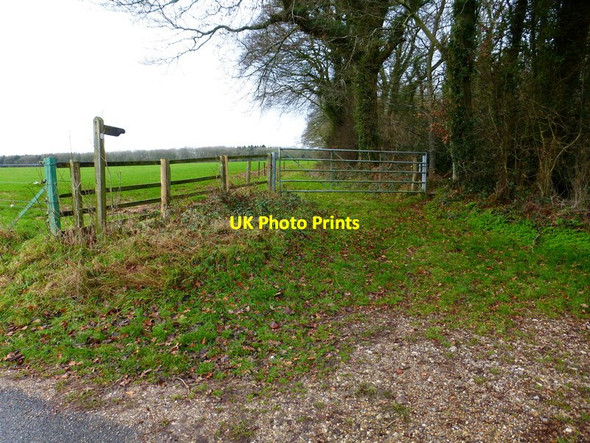 Photo 6"x4" Footpath goes west from Whiteleaf Lane Chidden c2014