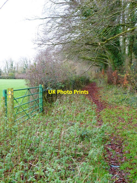 Photo 6"x4" Footpath going north by Great Sheardley Wood Brockbridge c2014