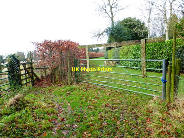 Photo 6"x4" Footpath reaches barrier at Stoke Wood Brockbridge c2014