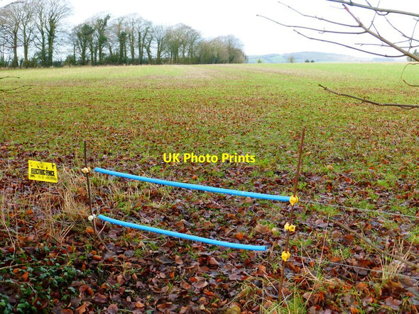 Photo 6"x4" Footpath crosses corner of field on the way to New Road Brockbridge c2014