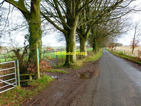 Photo 6"x4" Looking east on unnamed road at footpath junction Brockbridge c2014