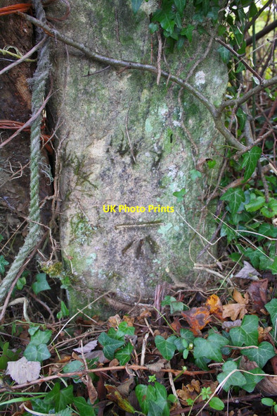 Photo 6"x4" Benchmark on gatepost  beside B4026 Charlbury c2014