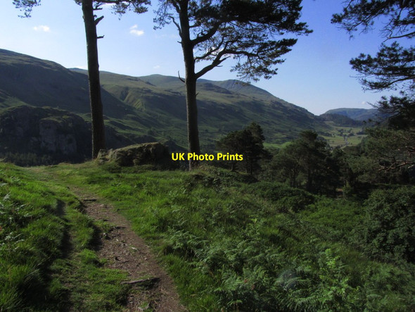 Photo 6"x4" Path on Wren Crag (High Rigg). View S towards Helvellyn Legburthwaite c2014