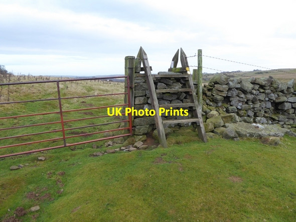Photo 6"x4" Ladder stile above the Hisehope Burn Horsleyhope c2014