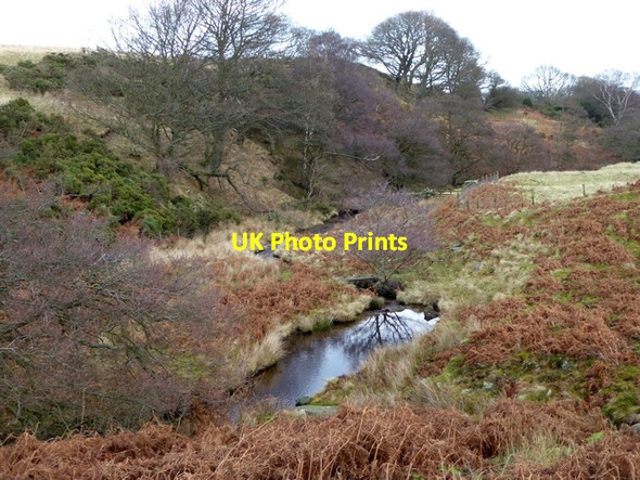 Photo 6"x4" Valley of the Hisehope Burn Horsleyhope c2014