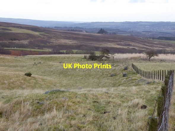 Photo 6"x4" Field boundary above the valley of the Railgap Burn Edmondbyers c2014