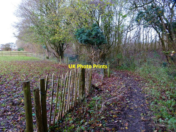 Photo 6"x4" Bend on byway south of Leydene Gardens Farm Chidden c2014