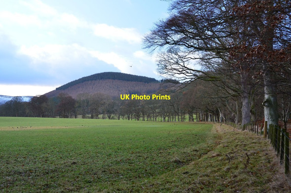 Photo 6"x4" Field at Haystoun Peebles\/NT2540 c2014