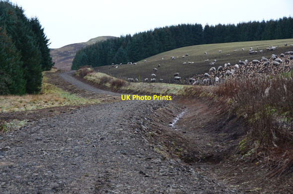 Photo 6"x4" Resurfaced track near Harehope Harehope\/NT2044 c2014 P1