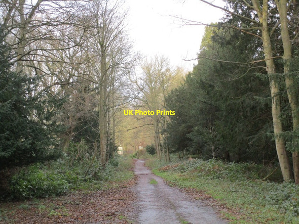 Photo 6"x4" Roadway to South Lodge Carburton c2014