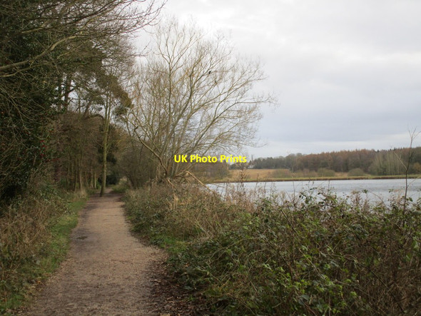 Photo 6"x4" Path alongside the Hardwick arm of Clumber Lake (2) Hardwick Village c2014
