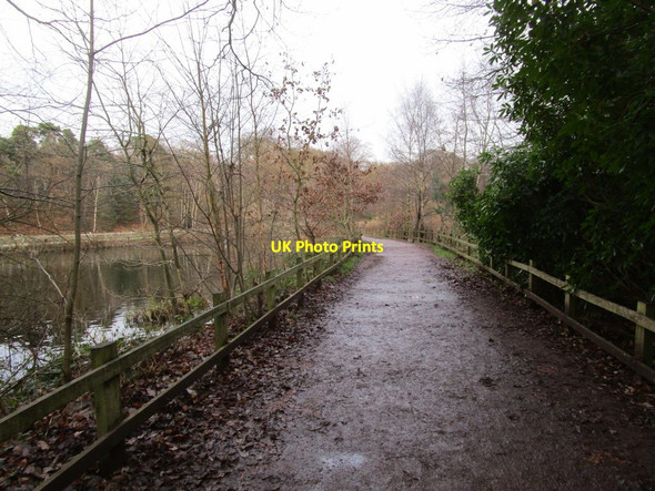 Photo 6"x4" Causeway across Clumber Lake (2) Hardwick Village c2014