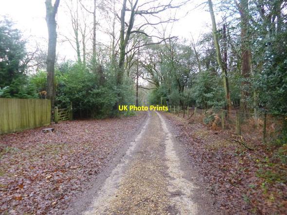 Photo 6"x4" Stoney Cross, access road Stoney Cross c2014