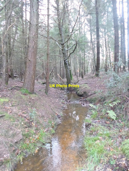 Photo 6"x4" The Grove, brook Stoney Cross c2014
