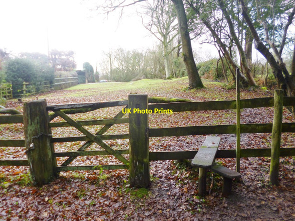 Photo 6"x4" The Grove, stile Stoney Cross c2014
