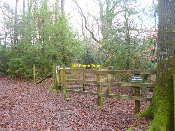 Photo 6"x4" Stoney Cross, kissing gate London Minstead c2014