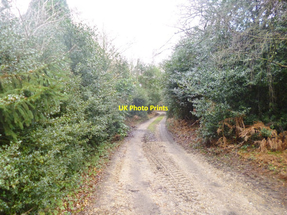 Photo 6"x4" Stoney Cross, access road London Minstead c2014