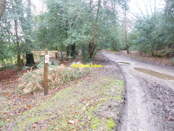 Photo 6"x4" Stoney Cross, signpost London Minstead c2014