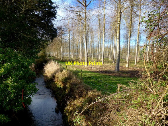 Photo 6"x4" Drain by Yarkhill plantation Monkhide c2014