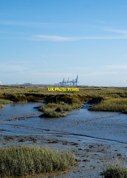 Photo 6"x4" Grain Container Terminal from Stoke Creek over Stoke Saltings Grain\/TQ8876 c2014