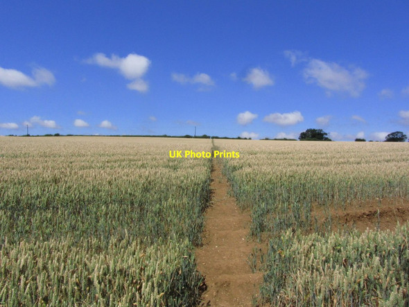 Photo 6"x4" Path leading over Mardon Hill, East Keal, Lincs East Keal c2014
