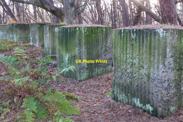 Photo 6"x4" World War II tank defence blocks, Harestanes Wood Craigielaw c2014