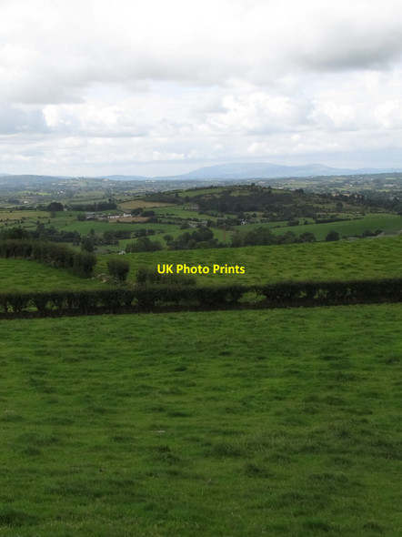 Photo 6"x4" View south-westwards from the Moat Pad towards Moneyslane Hill Ballyward c2014