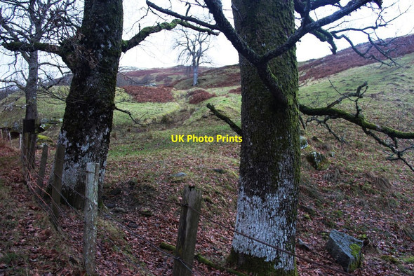 Photo 6"x4" Hummocky hill ground at Milton Morenish Milton Morenish c2014