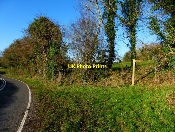 Photo 6"x4" Junction of footpath and Hambledon Road Anthill Common c2014