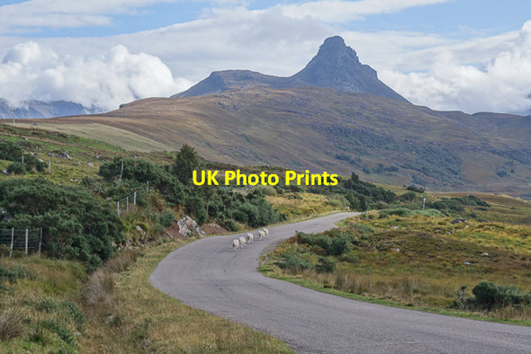 Photo 6"x4" View along the road towards Stac Pollaidh Badnagyle c2014