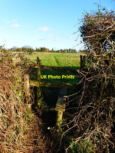 Photo 6"x4" The Monarch's Way crosses field to Denmead Mill Catherington c2014