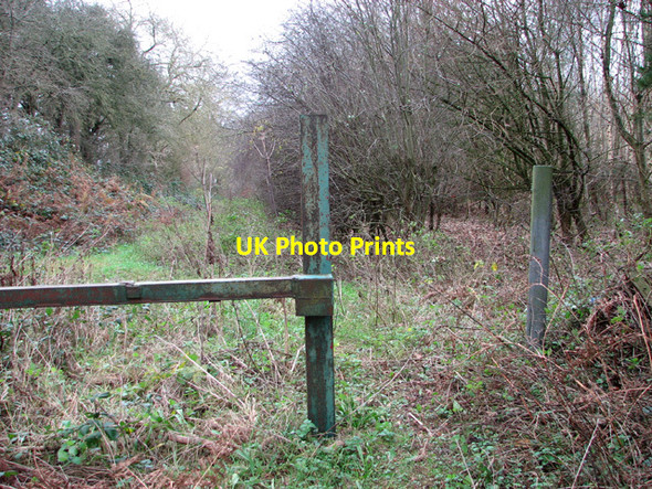 Photo 6"x4" Gate at Washpit Drove Swaffham c2014