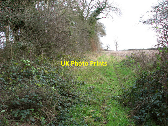 Photo 6"x4" Washpit Drove Swaffham c2014