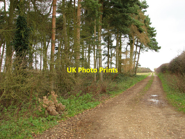Photo 6"x4" Farmtrack leading north Swaffham c2014