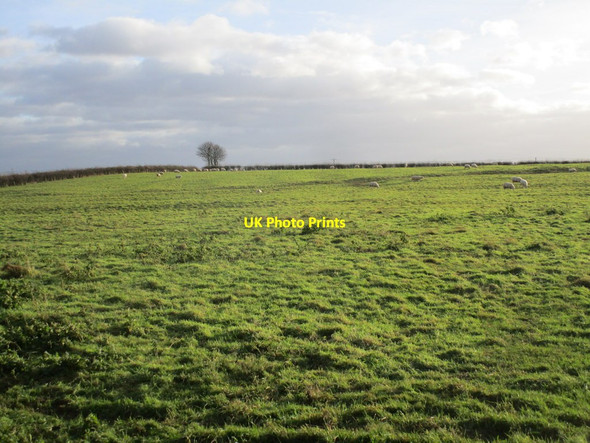 Photo 6"x4" Sheep pasture, Whimpton Ragnall c2014