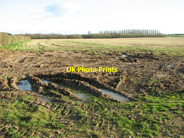 Photo 6"x4" Fields by East Tuddenham Mattishall c2014
