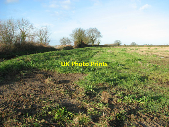 Photo 6"x4" Fields beside Blind Lane Mattishall c2014