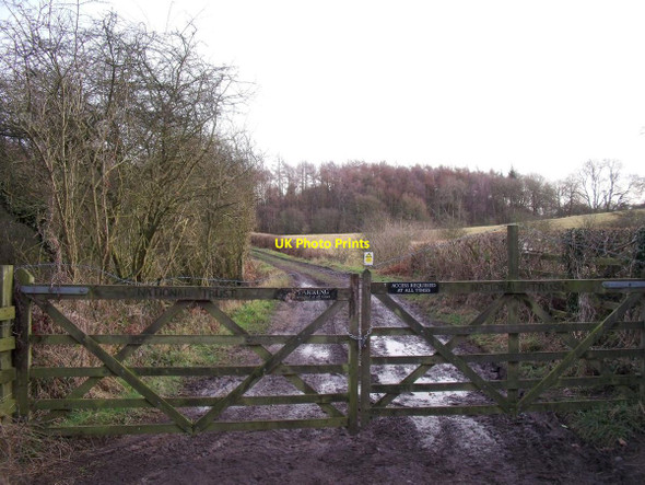 Photo 6"x4" Track into South Wood Southwood\/SK3521 c2014