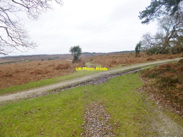Photo 6"x4" Stoney Cross, track junction Stoney Cross c2014