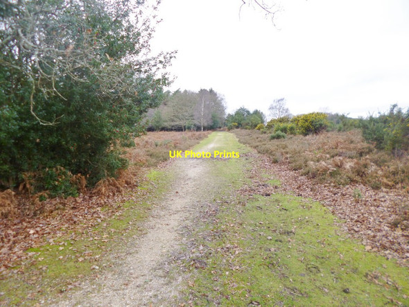 Photo 6"x4" Newtown, track Newtown\/SU2710 c2014